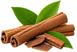Diabex — দারুচিনির ছালের নির্যাস
